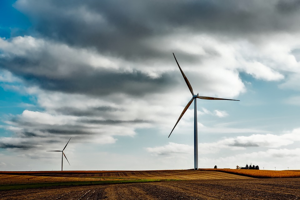 windfarm